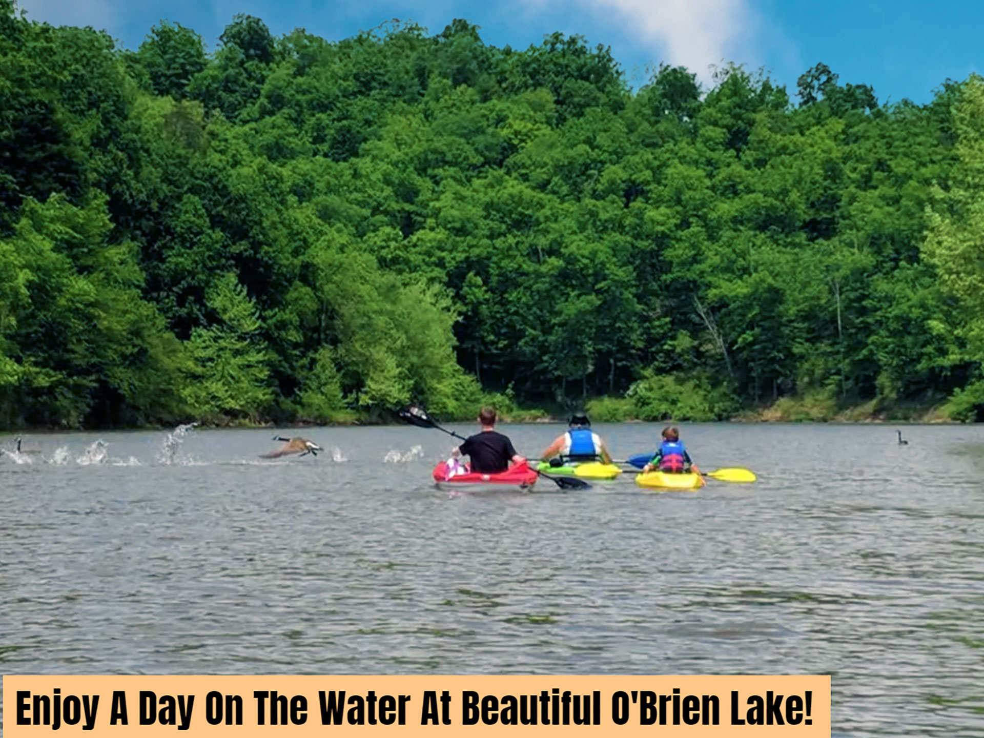 Statts Mills Campground and Cabins - Photo Gallery